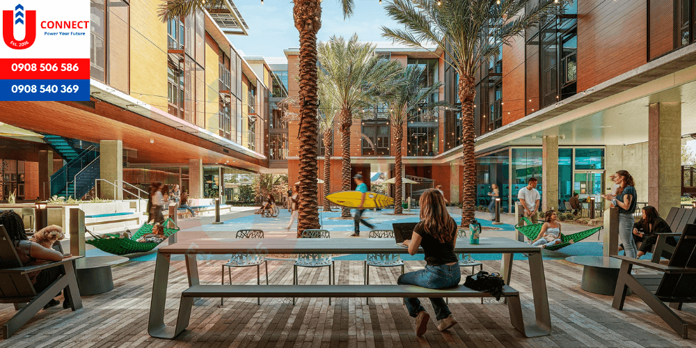 Đại học bang California, Long Beach , bang California - Mỹ